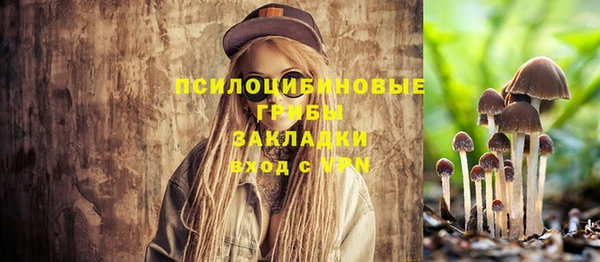 дмт Алексеевка