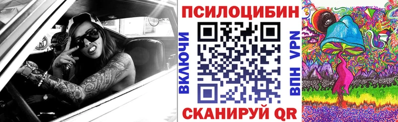 ссылка на мегу ТОР  Задонск  Галлюциногенные грибы MAGIC MUSHROOMS 